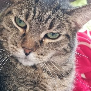 Meet your Posher, Janelle